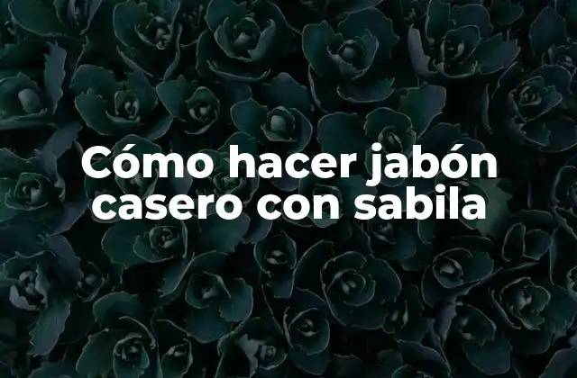 Cómo Hacer Jabón Casero con Sabila