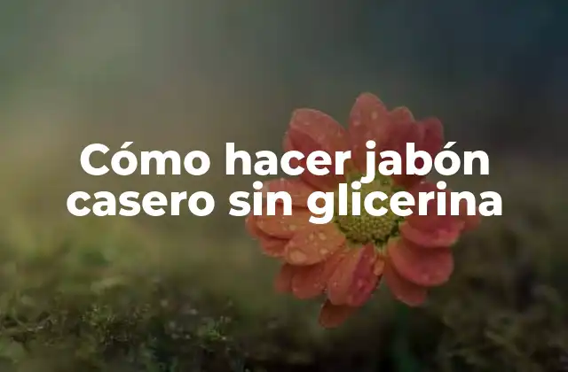 Cómo Hacer Jabón Casero sin Glicerina