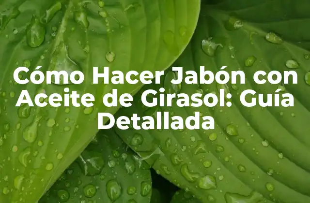 Cómo Hacer Jabón con Aceite de Girasol: Guía Detallada