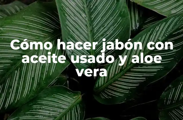 Cómo Hacer Jabón con Aceite Usado y Aloe Vera