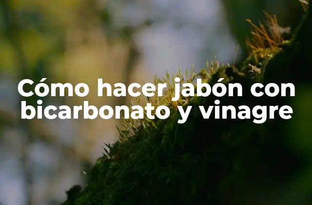 Cómo Hacer Jabón con Bicarbonato y Vinagre