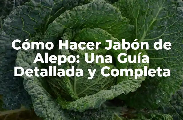 Cómo Hacer Jabón de Alepo: una Guía Detallada y Completa