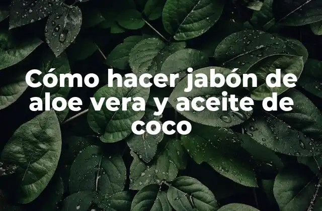 Cómo Hacer Jabón de Aloe Vera y Aceite de Coco