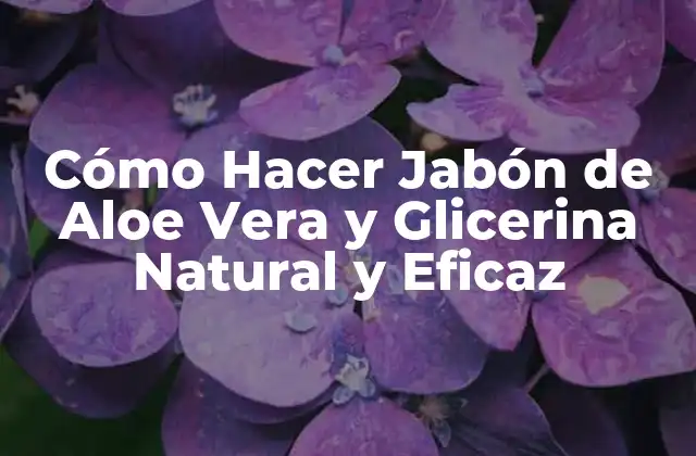 Cómo Hacer Jabón de Aloe Vera y Glicerina Natural y Eficaz