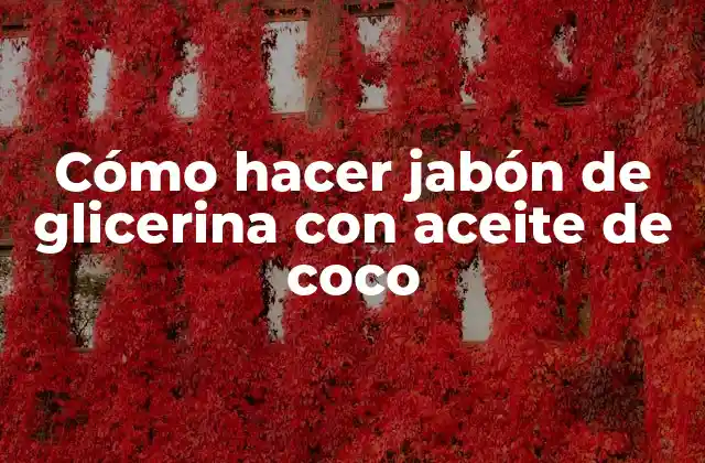 Cómo Hacer Jabón de Glicerina con Aceite de Coco 2 Jabón de glicerina con aceite de coco