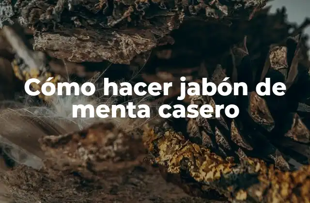 Cómo Hacer Jabón de Menta Casero