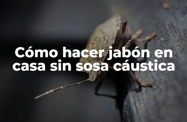 Cómo Hacer Jabón en Casa sin Sosa Cáustica