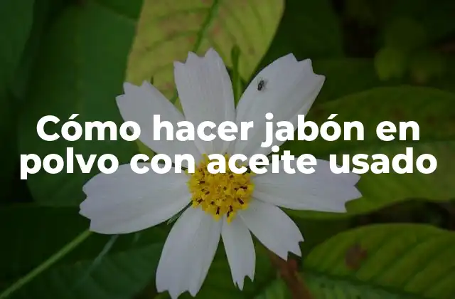 Jabón en polvo con aceite usado