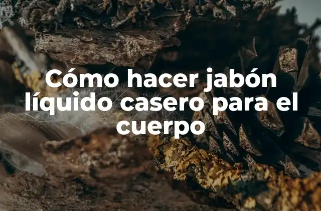 Cómo Hacer Jabón Líquido Casero para el Cuerpo
