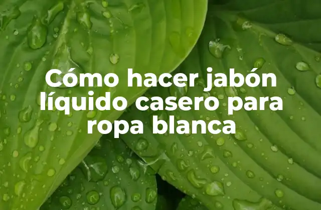 Cómo Hacer Jabón Líquido Casero para Ropa Blanca