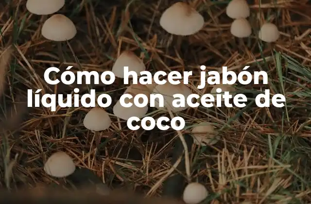 Cómo Hacer Jabón Líquido con Aceite de Coco