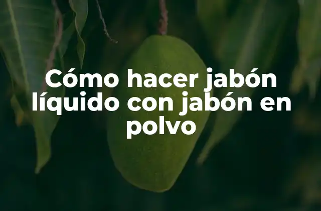 Cómo Hacer Jabón Líquido con Jabón en Polvo