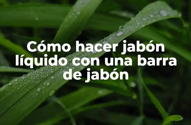 Cómo Hacer Jabón Líquido con una Barra de Jabón