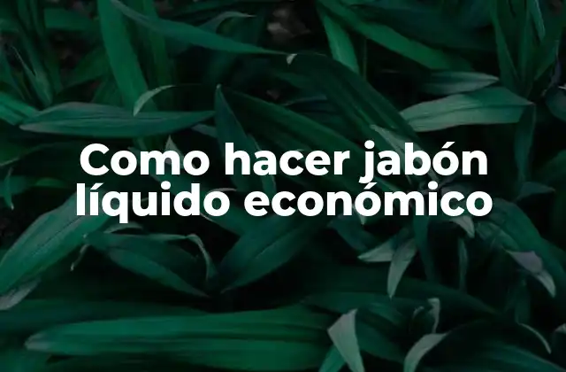 Como Hacer Jabón Líquido Económico