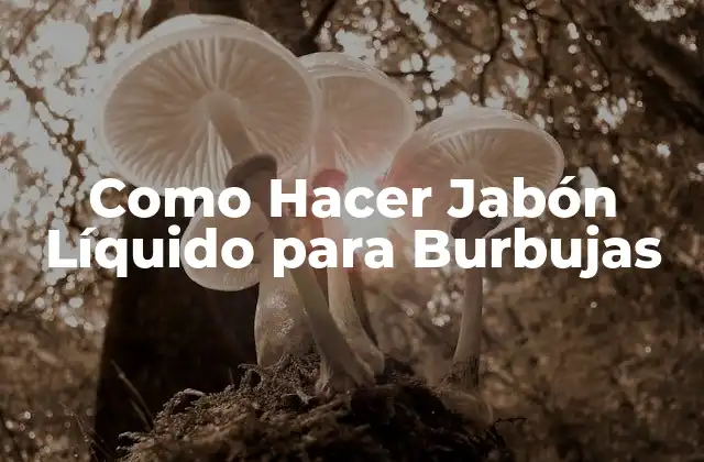 Como Hacer Jabón Líquido para Burbujas