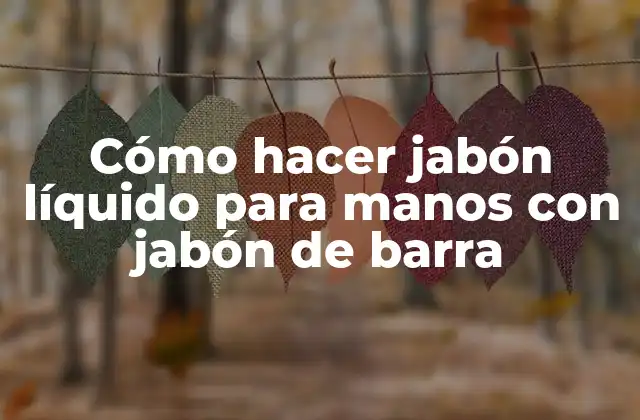Cómo Hacer Jabón Líquido para Manos con Jabón de Barra