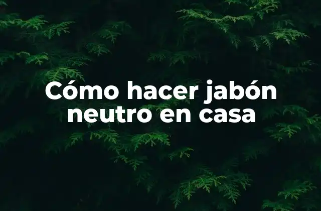 Cómo Hacer Jabón Neutro en Casa