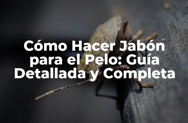 Cómo Hacer Jabón para el Pelo: Guía Detallada y Completa