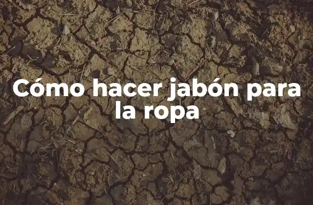 Cómo Hacer Jabón para la Ropa
