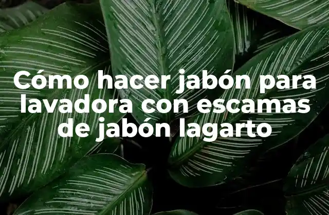 Cómo Hacer Jabón para Lavadora con Escamas de Jabón Lagarto