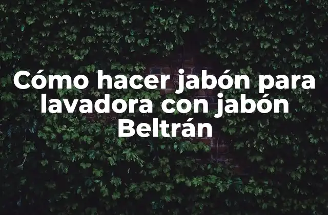 Cómo Hacer Jabón para Lavadora con Jabón Beltrán