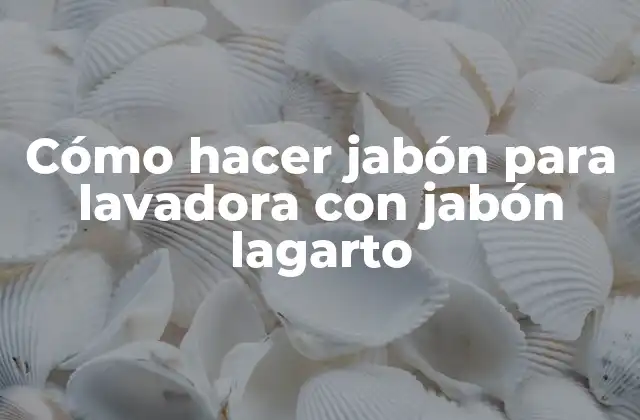 Cómo Hacer Jabón para Lavadora con Jabón Lagarto
