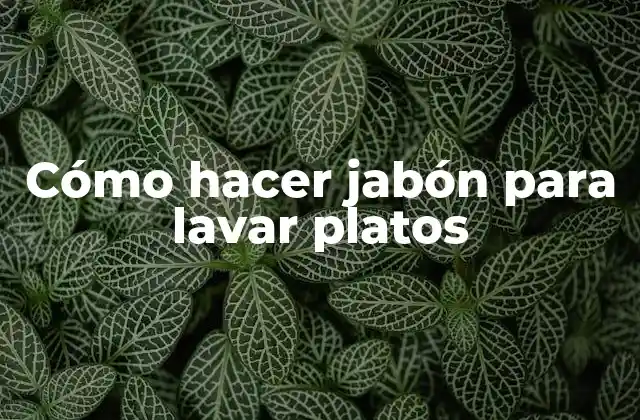 Cómo Hacer Jabón para Lavar Platos