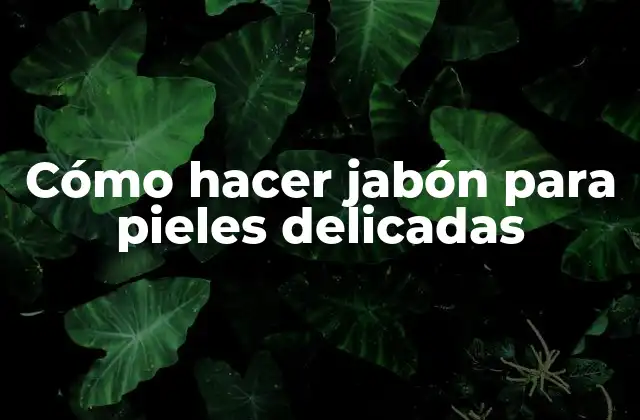 Cómo Hacer Jabón para Pieles Delicadas