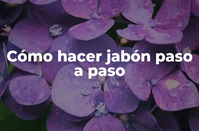 Cómo Hacer Jabón Paso a Paso 2 Cómo hacer jabón paso a paso
