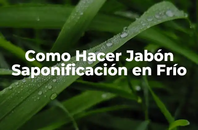 Como Hacer Jabón Saponificación en Frío