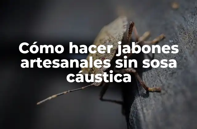 Cómo Hacer Jabones Artesanales sin Sosa Cáustica