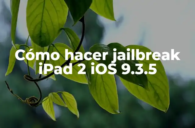 Cómo Hacer Jailbreak Ipad 2 Ios 9.3.5