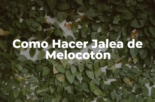 Como Hacer Jalea de Melocotón