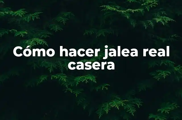 Cómo Hacer Jalea Real Casera
