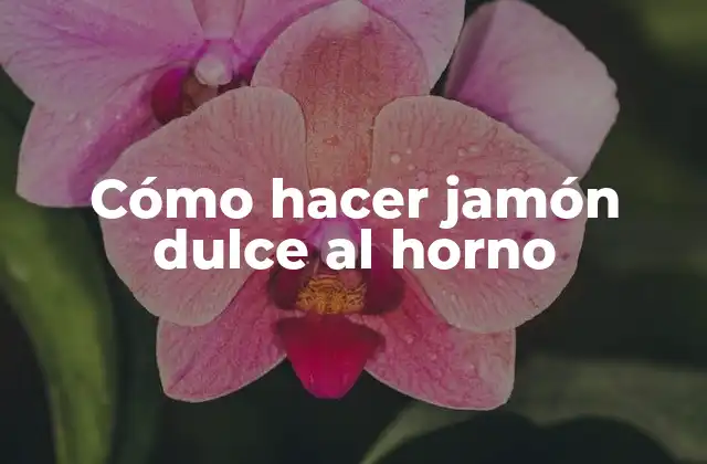 Cómo Hacer Jamón Dulce Al Horno 2 Cómo hacer jamón dulce al horno