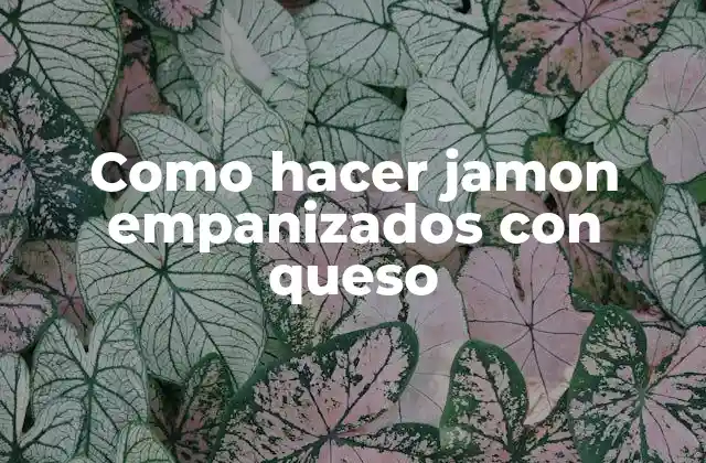 ¿Qué son los jamon empanizados con queso?