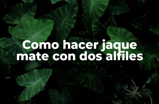 ¿Qué es el jaque mate con dos alfiles?