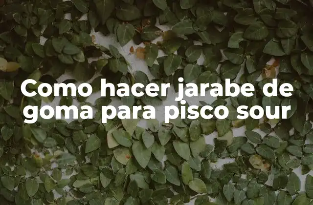 Como Hacer Jarabe de Goma para Pisco Sour