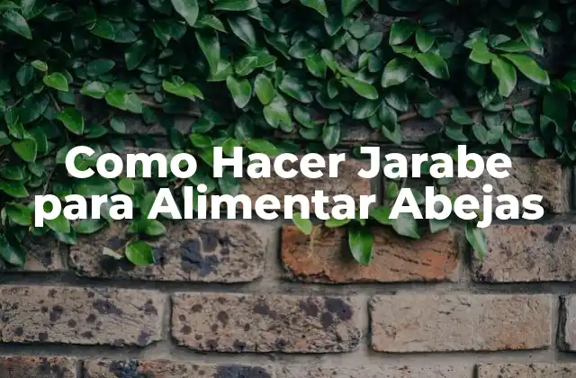Como Hacer Jarabe para Alimentar Abejas