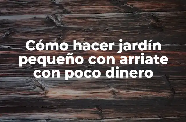 Cómo Hacer Jardín Pequeño con Arriate con Poco Dinero