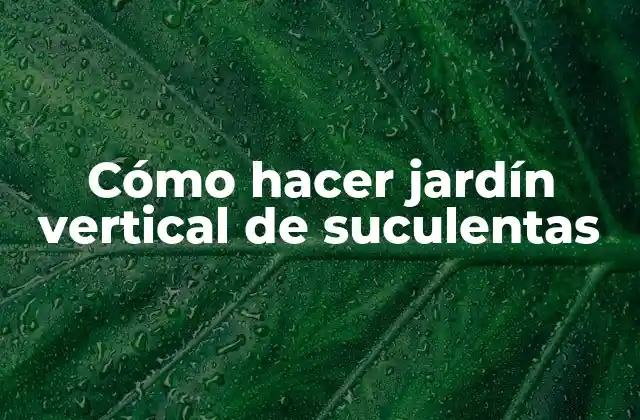 Cómo Hacer Jardín Vertical de Suculentas