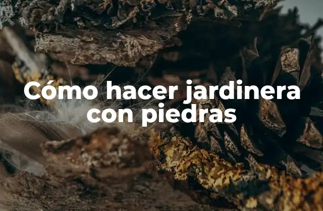 Cómo Hacer Jardinera con Piedras