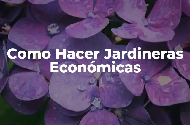 ¿Qué Son Las Jardineras Económicas?
