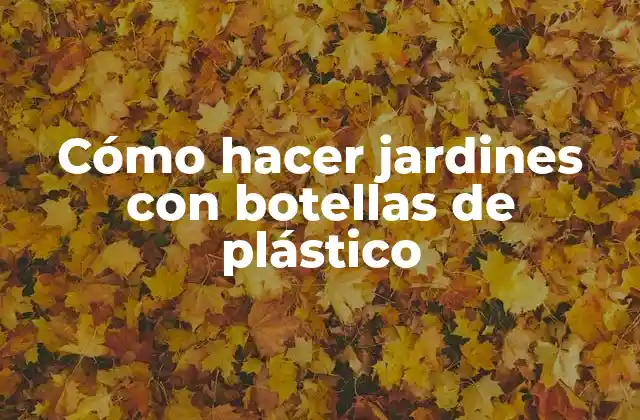 Cómo Hacer Jardines con Botellas de Plástico