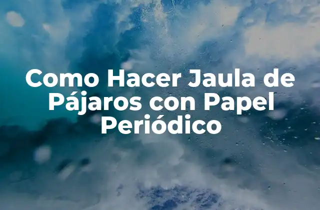 Como Hacer Jaula de Pájaros con Papel Periódico
