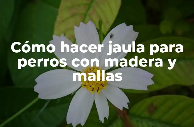 Cómo hacer jaula para perros con madera y mallas
