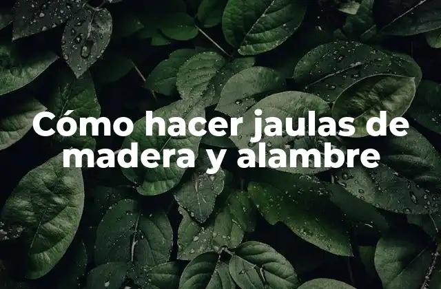 Cómo Hacer Jaulas de Madera y Alambre