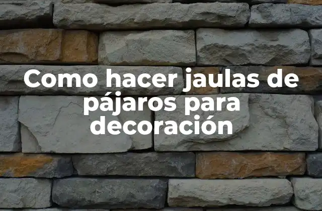 Como Hacer Jaulas de Pájaros para Decoración