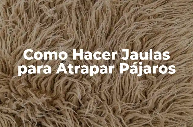 Como Hacer Jaulas para Atrapar Pájaros