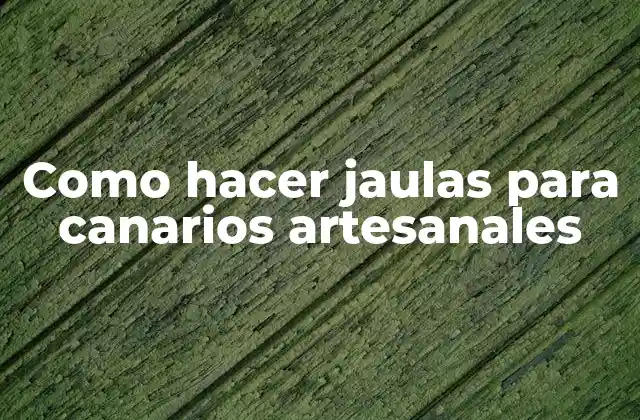Jaulas para canarios artesanales